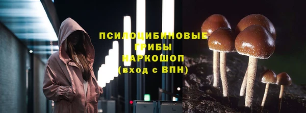 spice Волоколамск