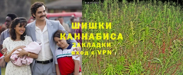 хмурый Волосово